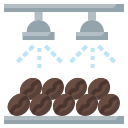 Harvesting & Processing